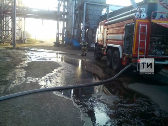 В Татарстане ликвидировали тление семечек в зерносушилке комбината