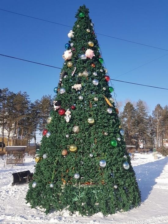 Новогодняя елка появилась в Хабаровске