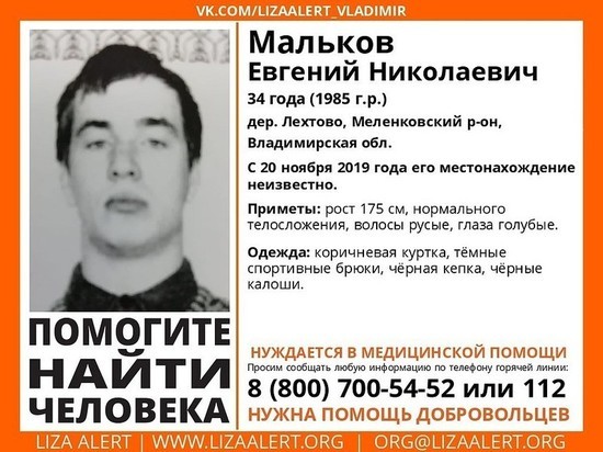 В лесу в Меленковском районе пропал 34-летний мужчина