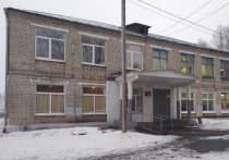 В Вадской средней общеобразовательной школе в Нижегородской области школьники массово отравились газом