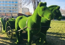 В Тамбове открыли сквер на площади Льва Толстого