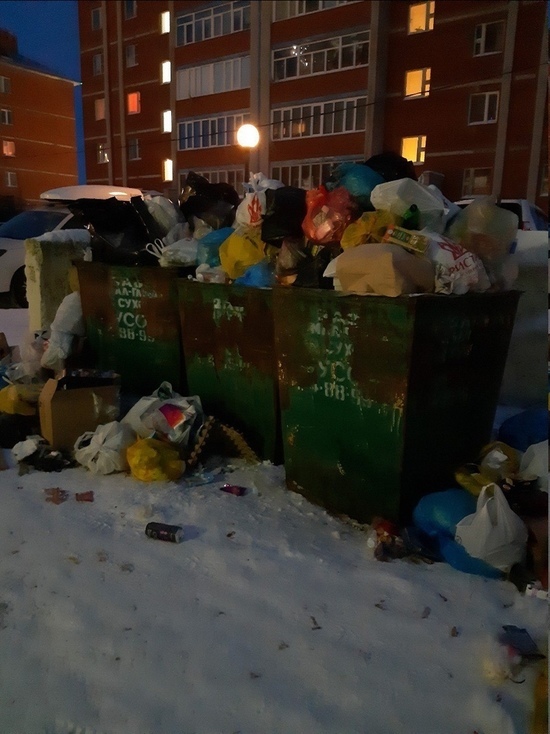 Жители Салехарда жалуются на заваленные мусором контейнеры