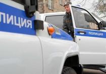 Старшеклассник из Иркутска, ставший свидетелем попытки изнасилования, помешал мужчине увезти девятилетнюю девочку на автомобиле