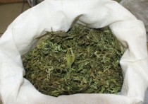 В Касночикойском районе сотрудники дорожно-патрульной службы обнаружили в одном в «Жигулях» 15 кг растительного вещества с характерным запахом конопли