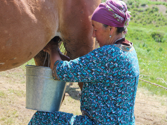 Малышей трех районов и двух городов Башкирии обеспечат качественным молоком
