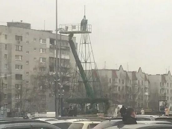 В Брянске собрали первую новогоднюю ель