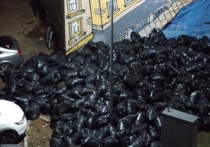 Под окнами дома №38 по улице Кораблестроителей в Санкт-Петербурге появились черные пакеты, количество которых увеличивалось на протяжении нескольких часов