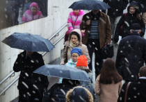 Специалист Московского метеобюро Татьяна Позднякова рассказала, что жителям столицы едва ли понравится погода в ближайшие выходные
