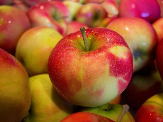 В Муроме уничтожили 81 килограмм санкционных яблок