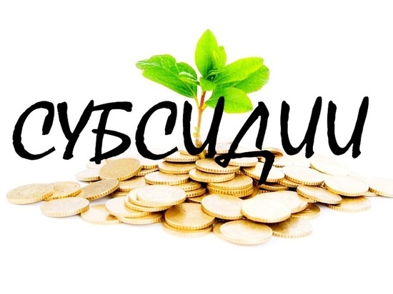 Администрация Костромы выбрала предпринимателей которые получат субсидии
