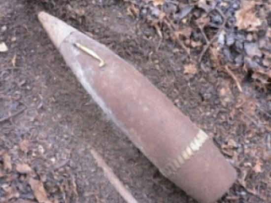 В Вязьме обнаружили и уничтожили две минометные мины