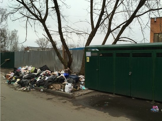 Свалку мусора за псковским кинотеатром организовало расположенное рядом кафе