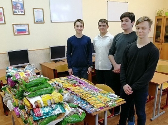 Благотворительная акция «Накорми четыре лапы» по сбору корма для собак и кошек прошла в Серпухове