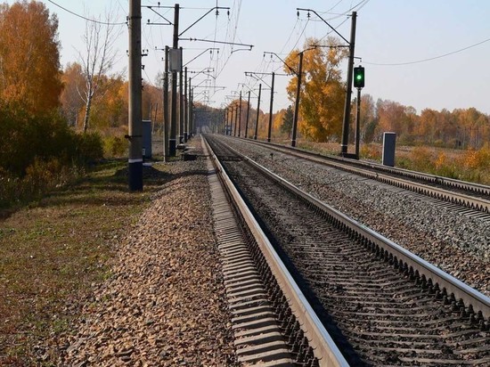 Тверская транспортная полиция поймала в поезде воровку из Москвы