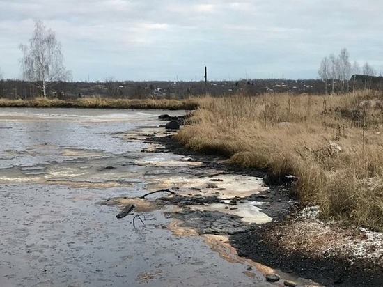 Опасный пруд под Балахной исследуют на предмет загрязнений