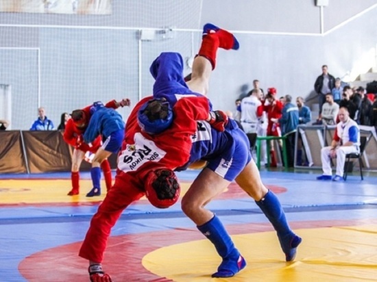 Тверская область примет чемпионат Всемирной федерации боевого самбо
