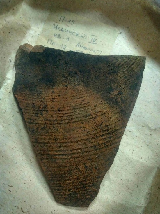 Удивительную находку обнаружили псковские археологи на Леона Поземского