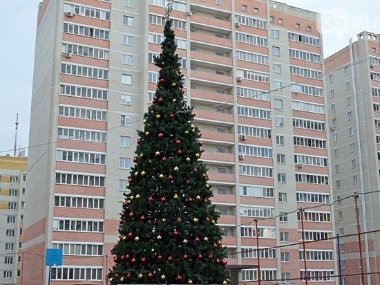 В Тамбове установили первую новогоднюю ёлку