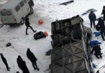 Сегодняшняя авария в Забайкальском крае, где в результате падения автобуса Kia Grandbird с моста погибли 19 человек, заставила вспомнить о нелегкой судьбе этой марки транспортного средства