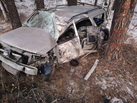 В Челябинской области автомобиль съехал в кювет, водитель погиб