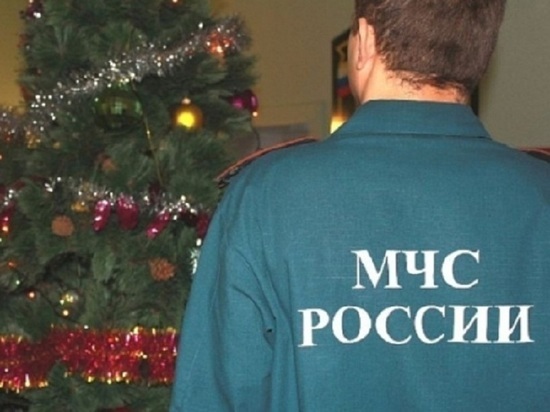 МЧС на Ямале проведет рейды по точкам продаж пиротехники