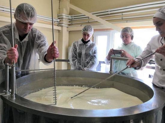 Специалисты из Германии поделились секретами сыроварения с тюменскими фермерами