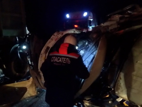 В Марий Эл спасатели извлекли водителя из пострадавшего в ДТП авто