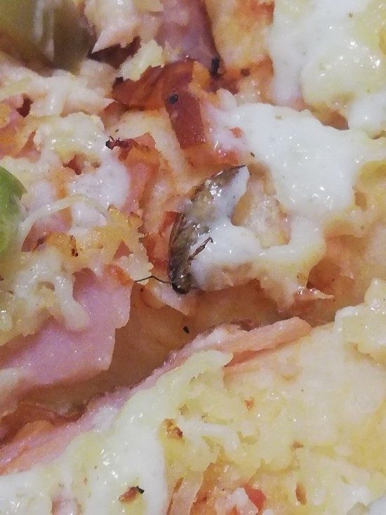 В блюде от известной псковской пиццерии нашли большого таракана