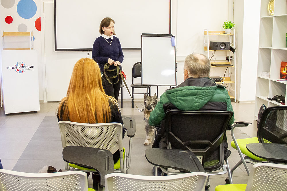 Школа зооволонтера в Хабаровске: как прошла первая лекция
