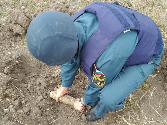 В Крыму саперы уничтожили пять авиабомб, обнаруженных в селе