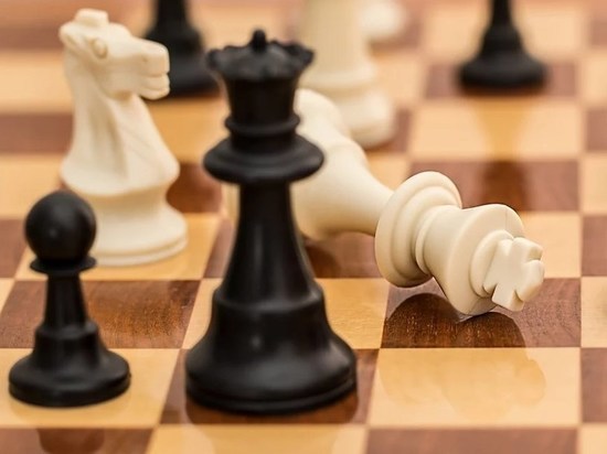 Шахматы - наше все: идея о бесплатном посещении фитнесов для псковичей старше 60 лет не нашла поддержки