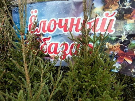 Мэрия Воронежа определила адреса городских елочных базаров