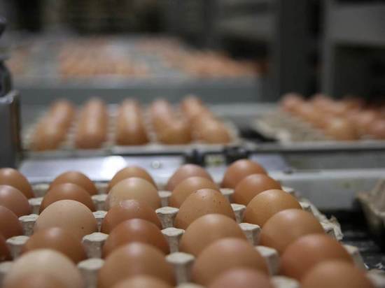 В Волгоградской области подорожали яйца и упали цены на пшено