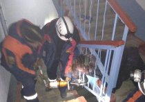 Утром 5 декабря сотрудники Поисково-спасательной службы «Забайкалпожспаса» освободили женщину, которая застряла между перилами в подъезде одного из читинских домов