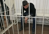 В Сети появилась петиция в защиту забайкальского предпринимателя Ивана Стрельникова, организатора перевозок по маршруту Чита-Сретенск, на котором 1 декабря произошла автокатастрофа с 19 погибшими