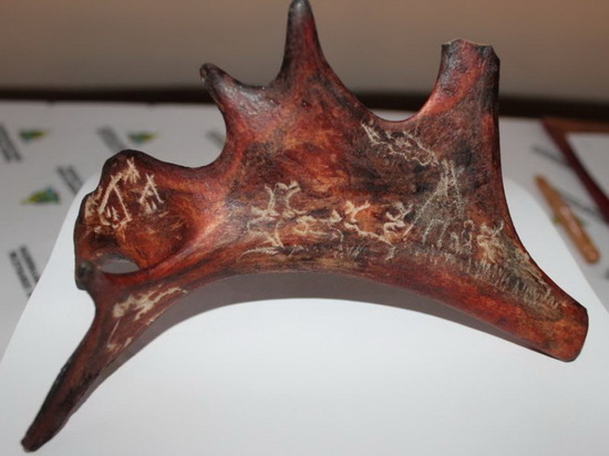 Фрагмент оленьего рога, изъятый на границе Бурятии, стал музейным экспонатом