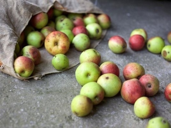 Тамбовчанин получил реальный срок за украденные яблоки