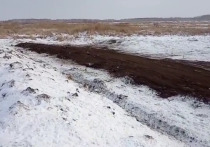 После появления в Калачинском районе Омской области незаконного скотомогильника местные жители обнаружили рукотворное озеро из крови, сообщает портал Om1