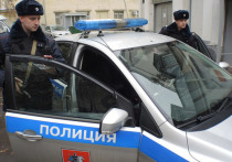 Отделы полиции предлагают награждать орденом Александра Невского