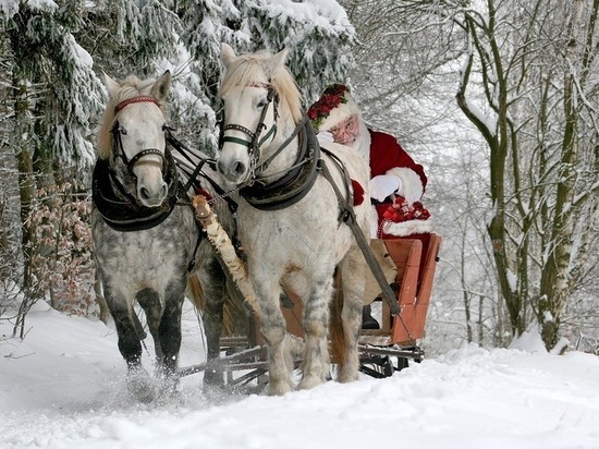 Краснодарцы ждут в гости Деда Мороза из Великого Устюга