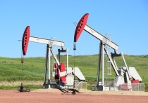 Нефтяной картель ОПЕК и независимые производители «черного золота», в число которых входит Россия, впервые за три года снова договорились о снижении добычи сырья — на 500 тыс баррелей в сутки