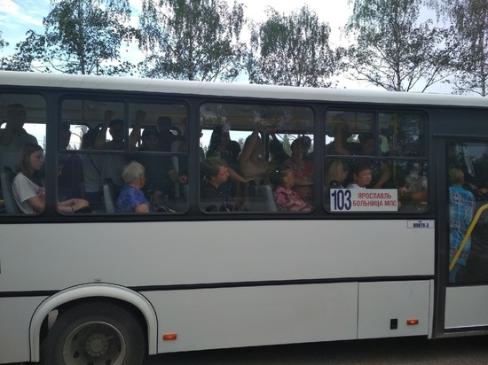 Жители Ярославской области просят не закрывать автобусные маршруты