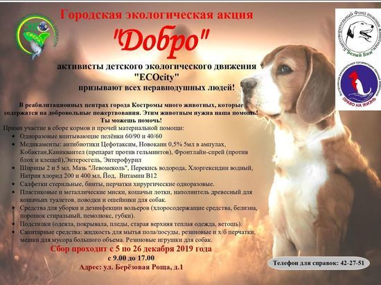 Костромские юннаты призывают жителей помочь бездомным животным пережить зиму