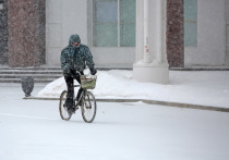 Центр «Фобос» сообщает, что начало следующей недели ознаменуется для Центральной России оттепелью и слабыми дождями