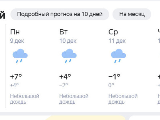 Погода псковская обл на 10 дней
