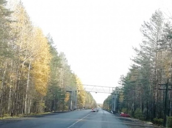 Четыре постоянных пункта весового контроля обустроят на карельских дорогах