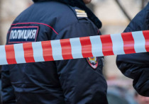 Пьяный сотрудник «Мособлпожспаса» открыл беспорядочную стрельбу возле своего частного дома и застрелил соседку