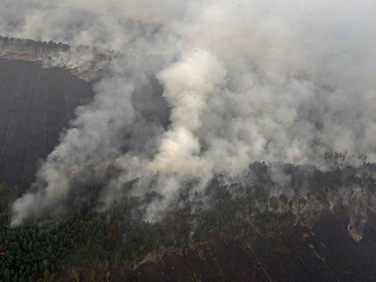 Минприроды ужесточает правила тушения лесных пожаров
