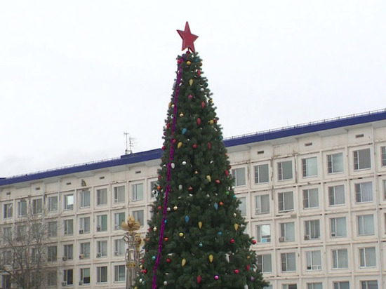 Калмыцкую столицу украсят не две, а три новогодние ели