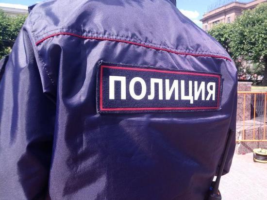 Полиция Петербурга ищет совратителя несовершеннолетней